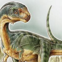 ¿Cómo era el chilesaurio, el dinosaurio más extraño del mundo descubierto en Chile? Este cuento te lo explicará...