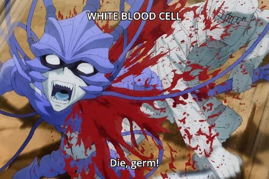 Cells at Work!: El anime que te enseña como funciona el cuerpo humano - La  Tercera