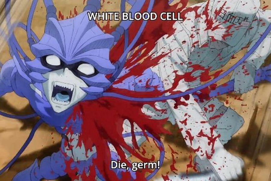 Cells at Work!: El anime que te enseña como funciona el cuerpo humano - La Tercera Cells at Work!: El anime que te enseña como funciona el cuerpo humano - La Tercera