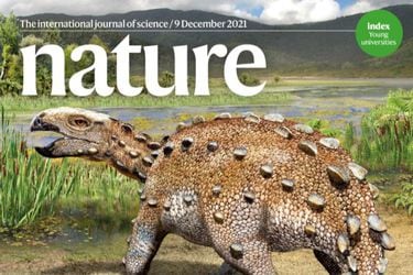 “Respuesta armada”: hallazgo de dinosaurio acorazado en Chile se convierte en la portada de Nature, la revista científica más importante del mundo 