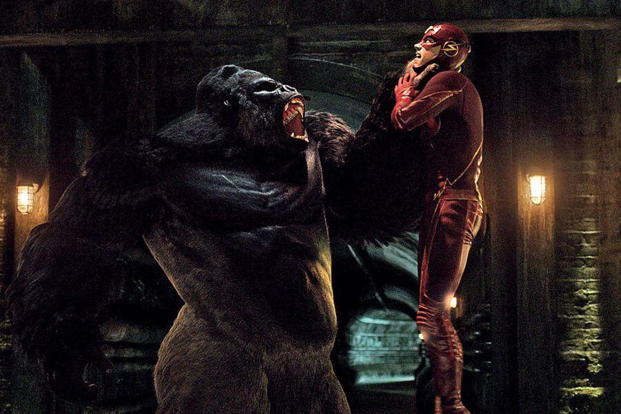 flash grodd