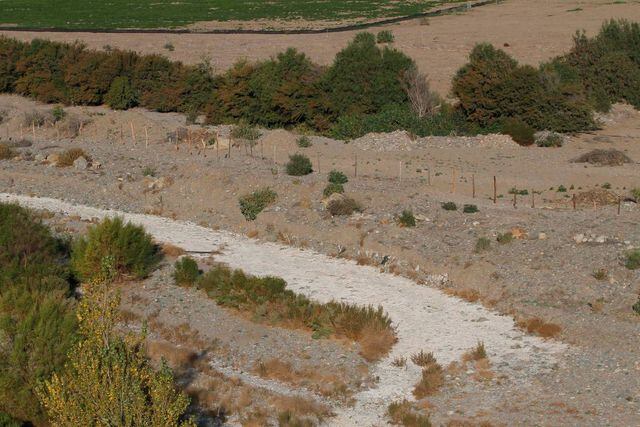 PETORCA: Plantaciones de palta que estaria causando la sequía en el sector