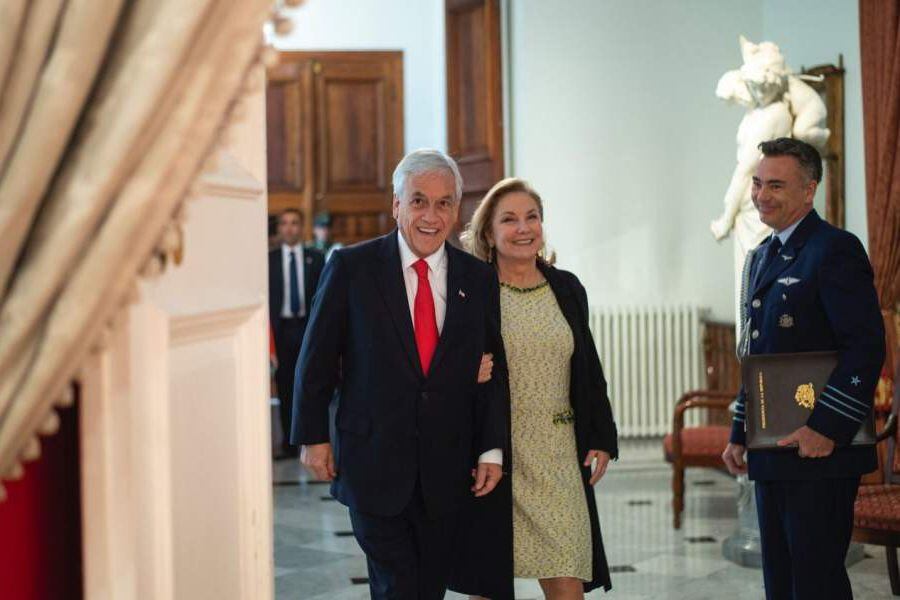 Piñera cecilia