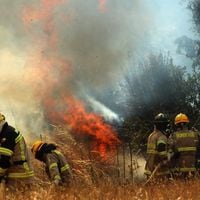 “Chile se prepara”: gobierno lanza plan con medidas preventivas para enfrentar la temporada de incendios forestales