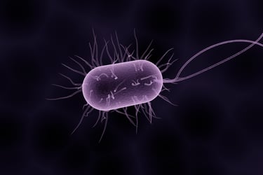 Infecciones por bacterias carnívoras están aumentando: un microbiólogo explica cómo protegerse