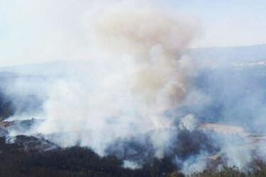 Incendio forestal deja cerca de mil hectáreas consumidas en la región del Bío Bío