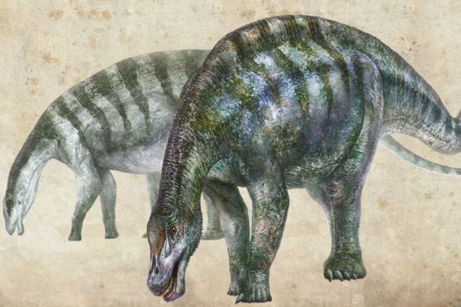 dinos