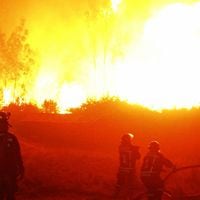 Incendios forestales: Abbott y Dolmetsch coinciden en que no hay antecedentes para hablar de actos terroristas