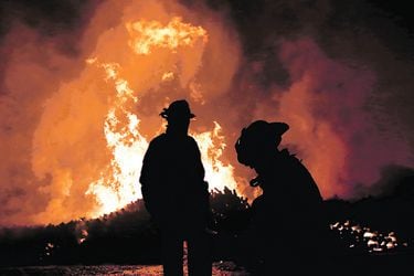 Incendio Forestal en el sector de San Ramon comuna de Constitucion.