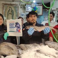 Sernapesca fiscaliza veda de explotación de la merluza austral y se prepara para la prohibición de la merluza común 