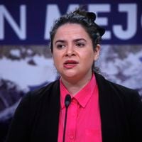 Ministra Antonia Orellana valora detención de excadetes de Cobreloa denunciados por violación grupal
