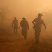 Conaf reporta 682 hectáreas afectadas por incendio forestal en Colina