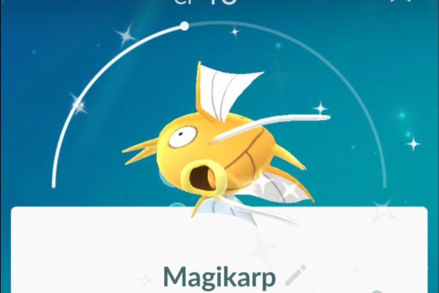 Magikarp