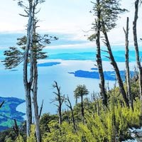 Lago Ranco: Seis paseos interminables