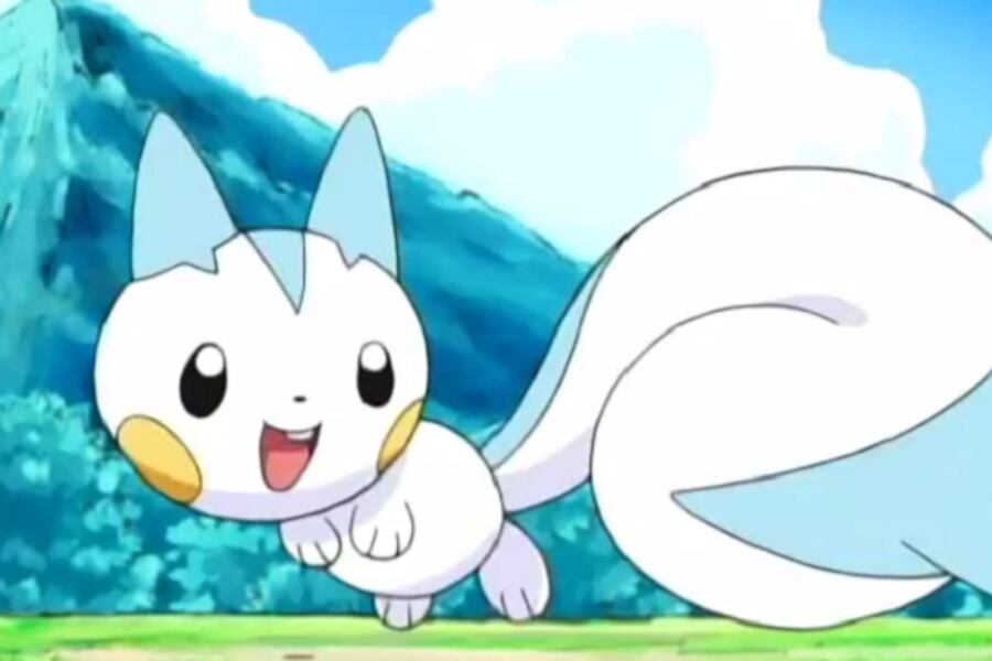 pachirisu