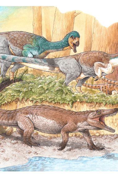 Revelan la existencia de un cocodrilo terrestre prehistórico que vivió  junto al Lago General Carrera y fue contemporáneo al Chilesaurio - La  Tercera