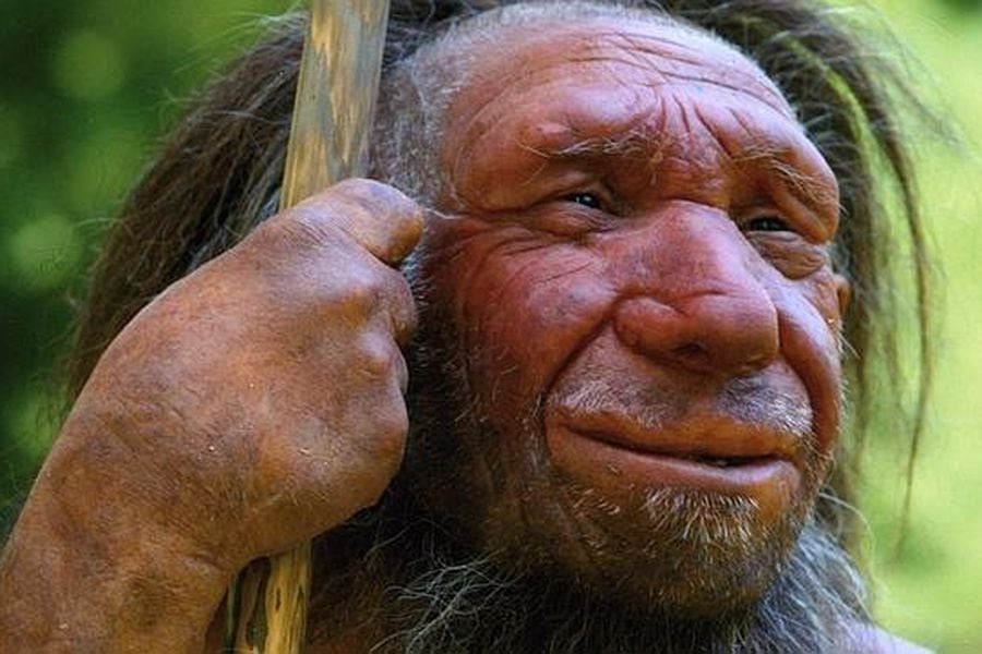 neandertal-museo-2-644x362