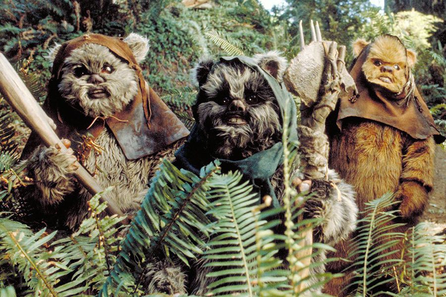 ewoks