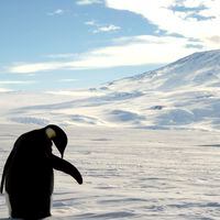 Cómo una reunión que se realizará en Chile puede cambiar el futuro de la Antártica