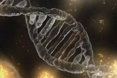Me robaron mi ADN: las insospechadas consecuencias genéticas a las que estamos expuestos
