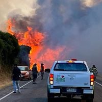 Incendio en ruta entre Lautaro y Curacautín provoca interrupción de tránsito vehicular