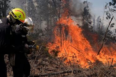 Incendio forestal en Paine
