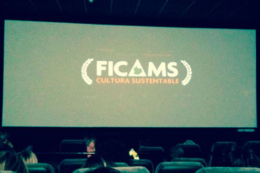FICAMS