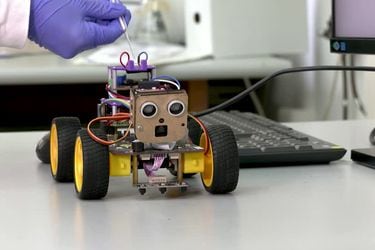 Desarrollan un robot inspirado en saltamontes capaz de olfatear enfermedades