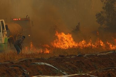 Declaran alerta roja en seis comunas por incendios forestales: fuego destruye siete casas y una bodega en Paine