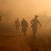Biobío: efecto atardecer se produce en Chiguayante por la densa columna de humo de los incendios