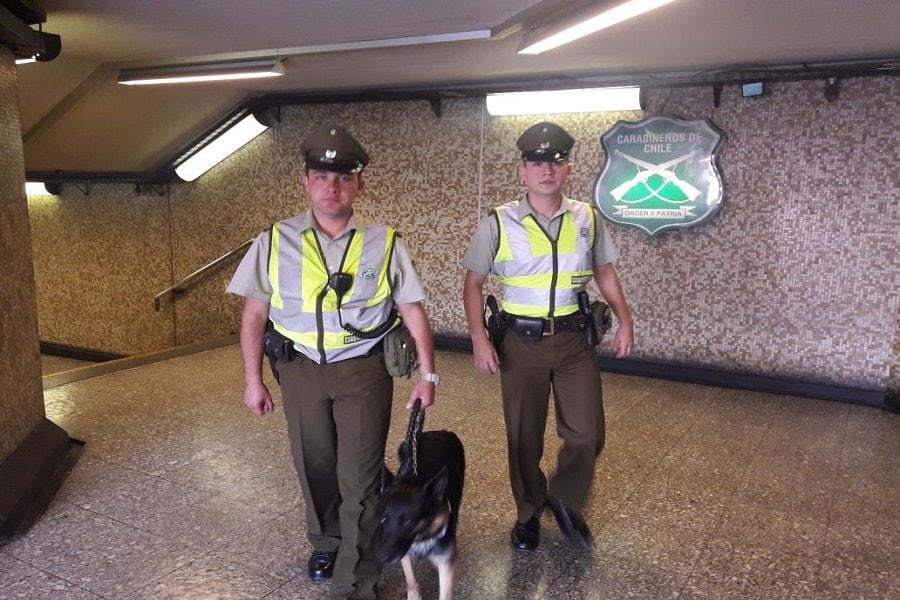 Escuadrón Canino Metro