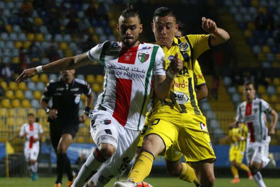 palestino-everton