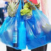 Productores de plástico acuden al TC y buscan revertir normativa que prohíbe el uso de bolsas