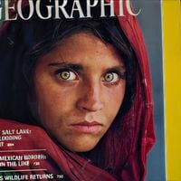 El dramático giro de National Geographic: despide a sus últimos redactores y desaparecerá de los quioscos en 2024