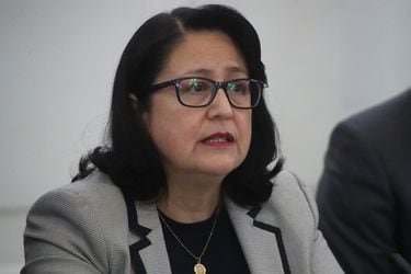 La comisión investigadora del denominado caso Hermosilla recibe a la contralora (s), Dorothy Pérez.