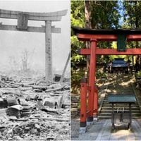 Qué significan los torii, las puertas sagradas de Japón que han sobrevivido a los peores desastres