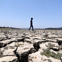 Día de la Tierra y una cruda realidad en Chile: Cada vez menos agua y más incendios forestales