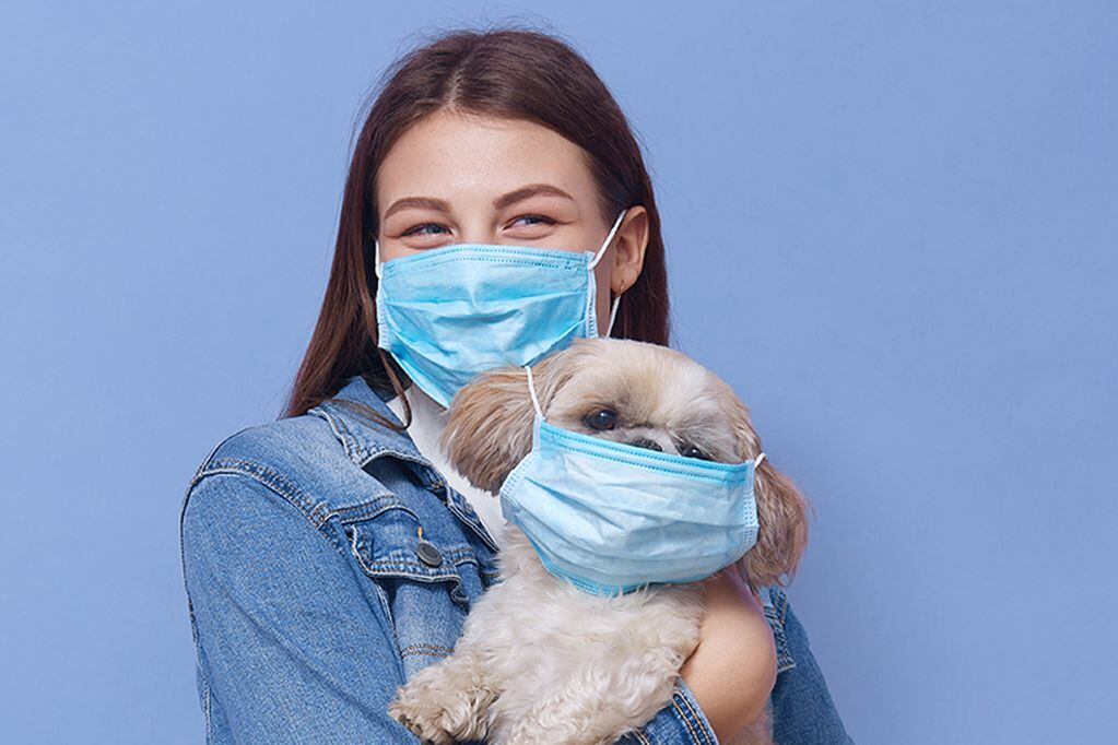 Young girl wearing medical mask with her pet, standing against blue background and holding Pekingese in hands, copy space for advertisement or promotion text.