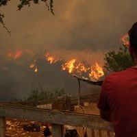 Asociación de alcaldes llama a suspender el cobro de los servicios básicos en comunas afectadas por incendios