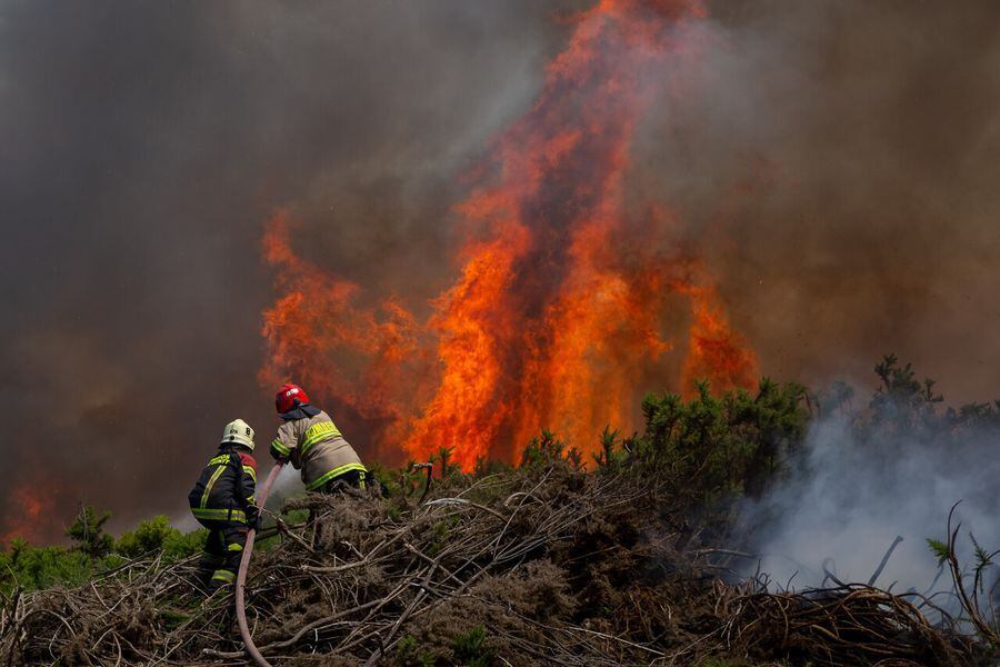Hay 81 incendios forestales en combate y 26 fallecidos - La Tercera