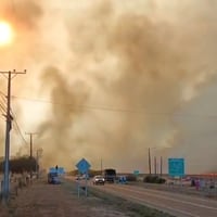 Incendios forestales han consumido 15% de las hectáreas que se quemaron la temporada anterior