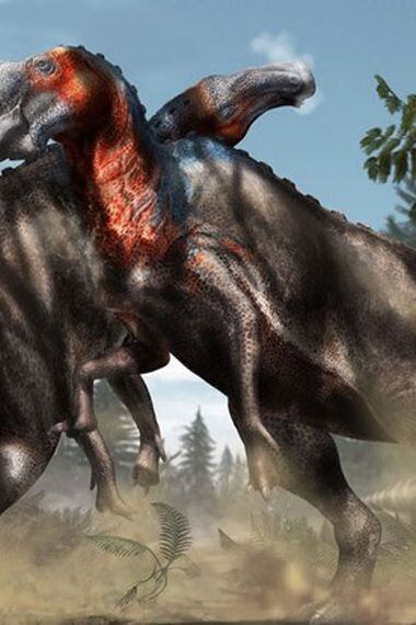 Los dinosaurios se enfermaban igual que los humanos - La Tercera