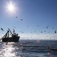 PacificBlu critica ley de pesca y afirma que tendría graves consecuencias para el sector
