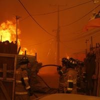 Bomberos e influencers tienen mejor evaluación que el gobierno en el manejo de los incendios en Valparaíso