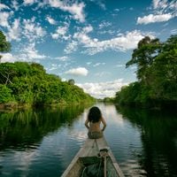 10 experiencias para conocer el corazón de la selva amazónica peruana