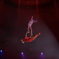 El instante en que una trapecista cayó al vacío y murió en medio de show circense