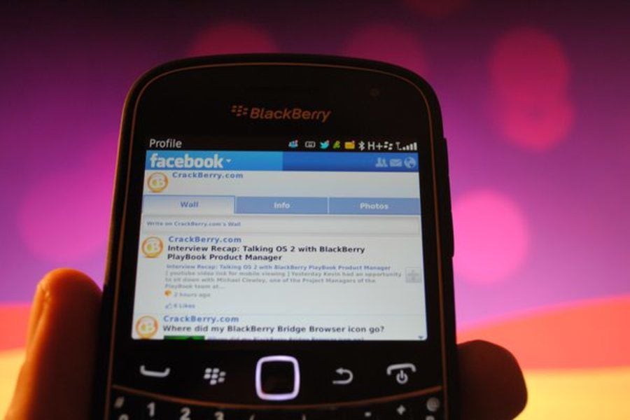 blackberry