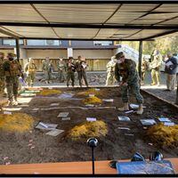 “Juego de Guerra”: 372 efectivos del Ejército efectuarán ejercicio militar ininterrumpido por 96 horas 