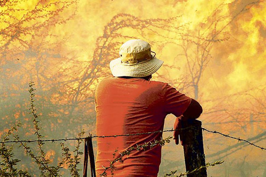 incendios forestales, Conaf