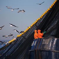 Gremios acusan acuerdo "entre cuatro paredes" para modificar Ley de Pesca